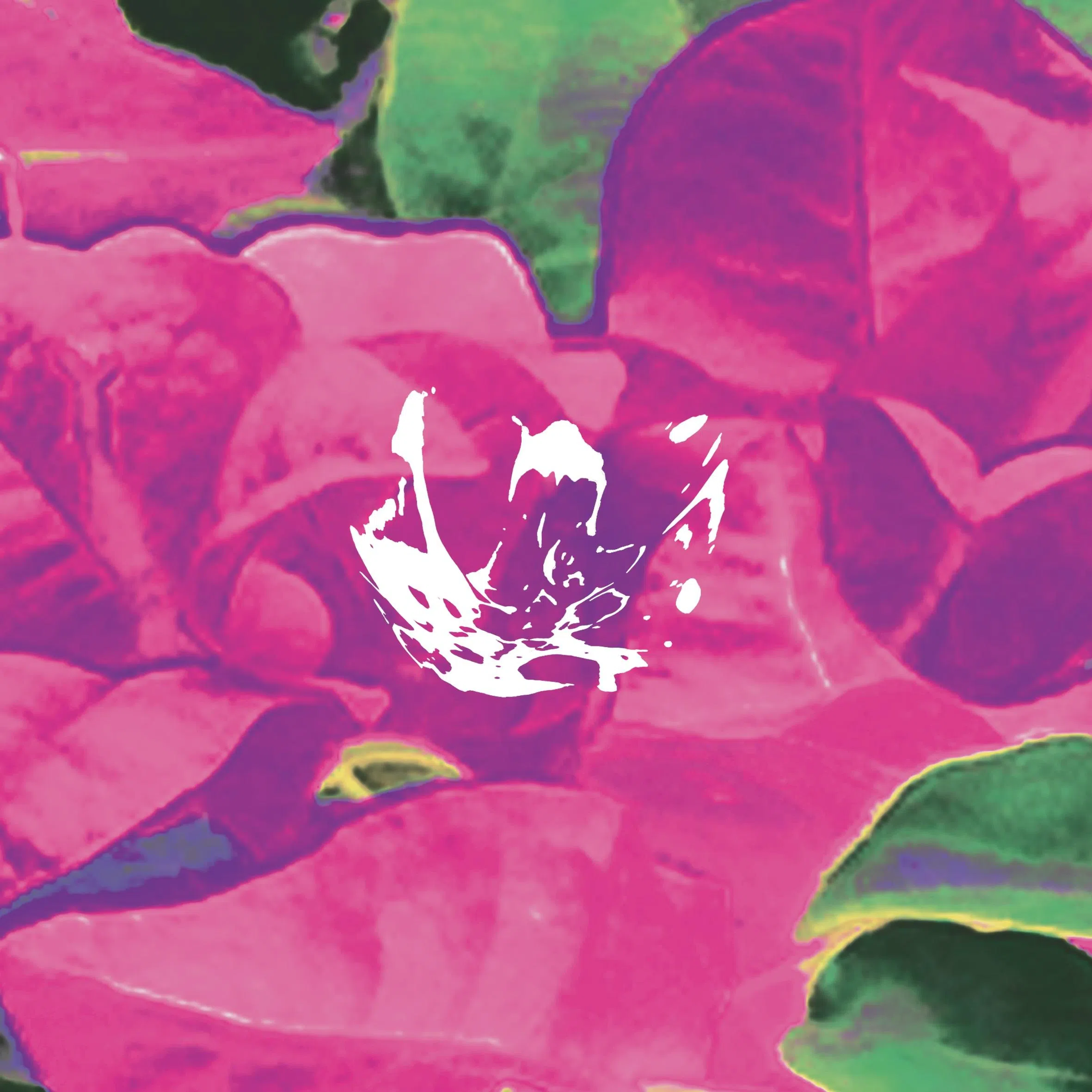 萨拉·诺尔希姆利（Sarah Noorhimli）作品采用扫描脑部的MRI结合九重葛图像而成。（创作者提供）