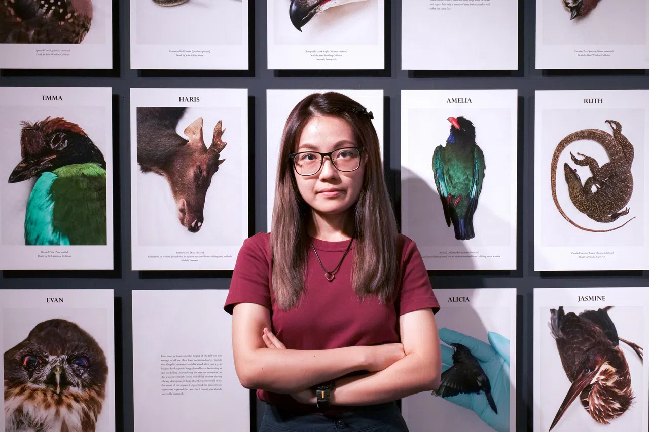 赖慧丽把研究员和保育团体想要说的话，通过照片更有力地传达给公众。（新加坡国立大学李光前自然历史博物馆提供）