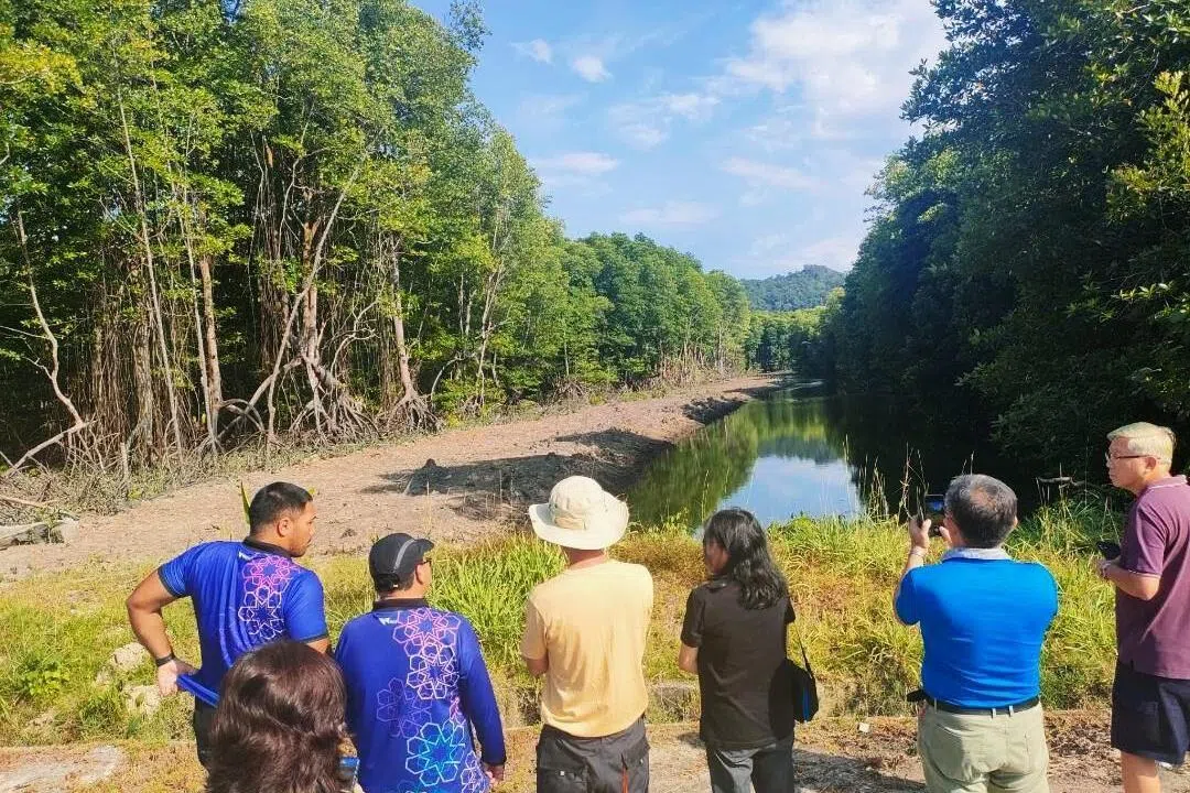 为在文莱养殖青蟹做准备，陈荣鑫和团队早前到文莱实地考察，了解当地的环境参数是否适合养殖青蟹。（受访者提供）