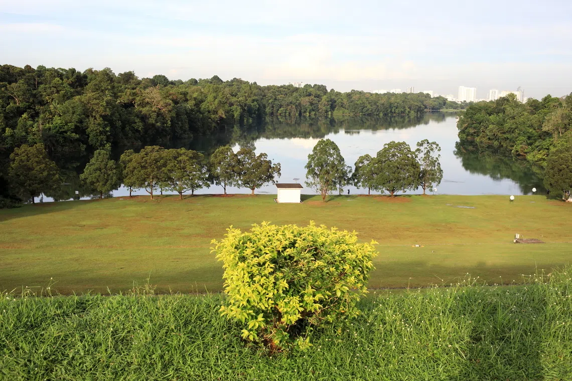 从贝雅士上段蓄水池俯望贝雅士下段蓄水池。（子旋摄）