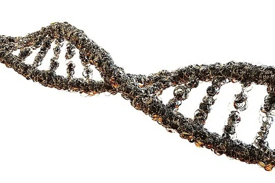 科学家发现强迫症相关基因 有望找到新疗法