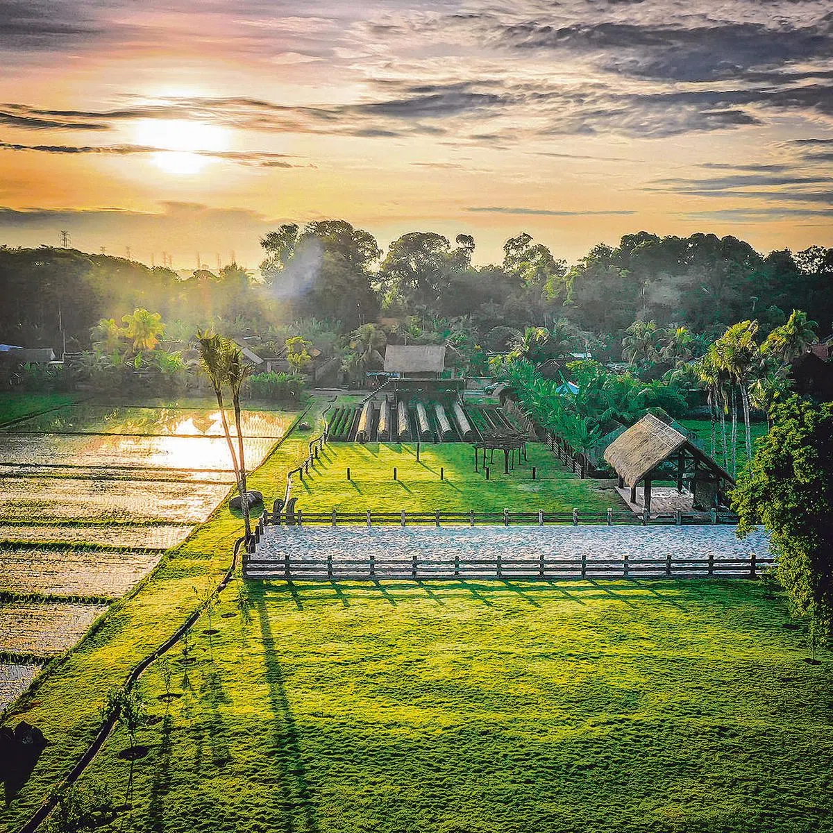 张视坤在峇厘岛投资一片76万平方英尺的土地建造自足自给的农村。