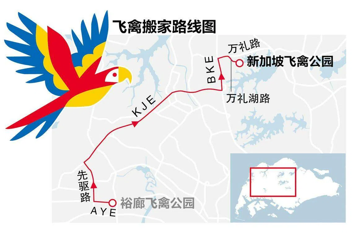 位于万礼万态野生动物世界的新加坡飞禽公园（Bird Paradise）距离裕廊飞禽公园约18.8公里，车程约30分钟。（李利群）