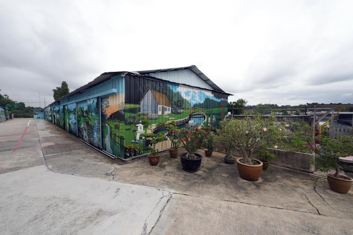 80多米的壁画，让甘榜屋多了一层当代气息。（谢智扬摄）