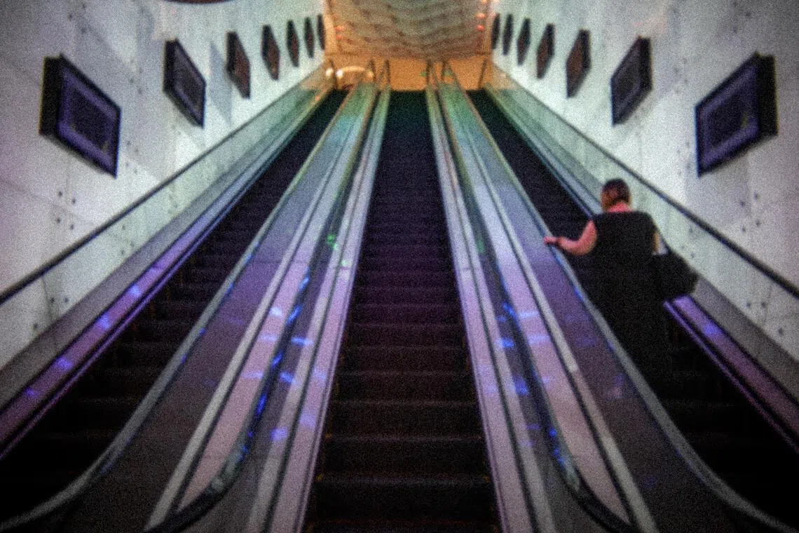 独自通往地面的寂静旅程。（叶振忠摄）