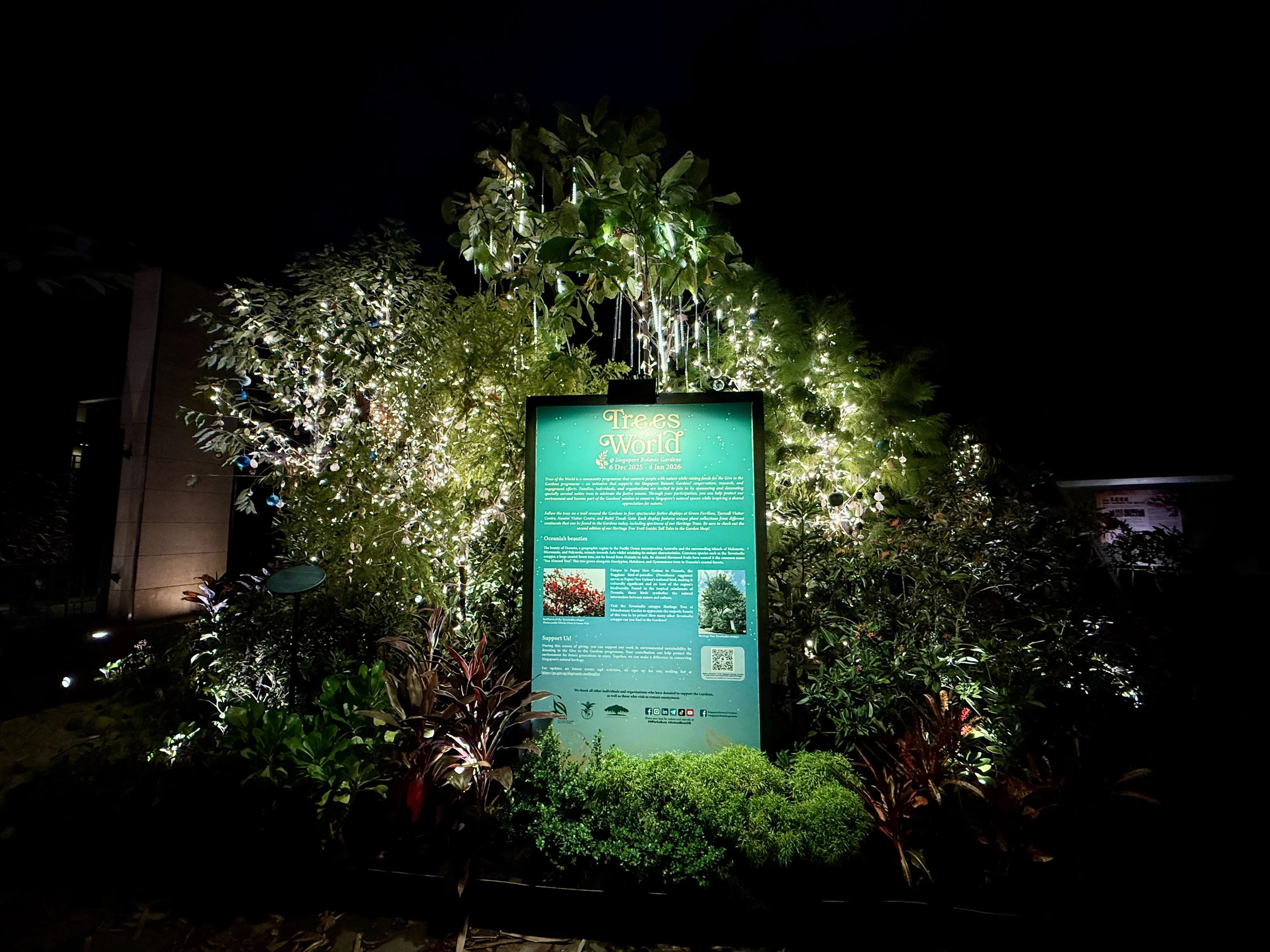 植物园圣诞树装饰活动“世界之树”已开幕，植物园地铁站附近的武吉知马门入口比平时更璀璨。（陈映蓁摄）