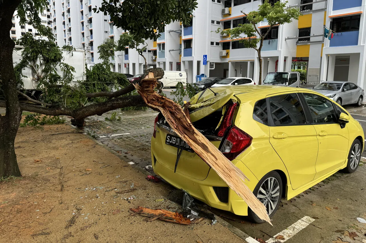 一辆黄色本田轿车车尾被枝干砸中后损毁严重，除了车顶凹陷，车窗也破裂。（杨量而摄）