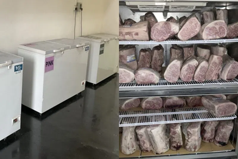 持牌食品进口商Go Go Foods Singapore Pte Ltd因经营无执照的冷藏库，被判罚款3500元。（食品局提供）