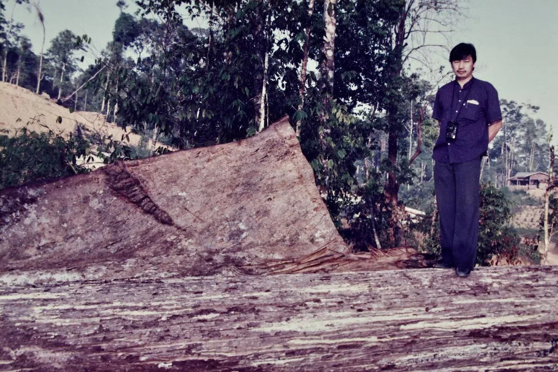 梁美石在沙斯期间到印尼森林开锯木厂。（受访者提供）