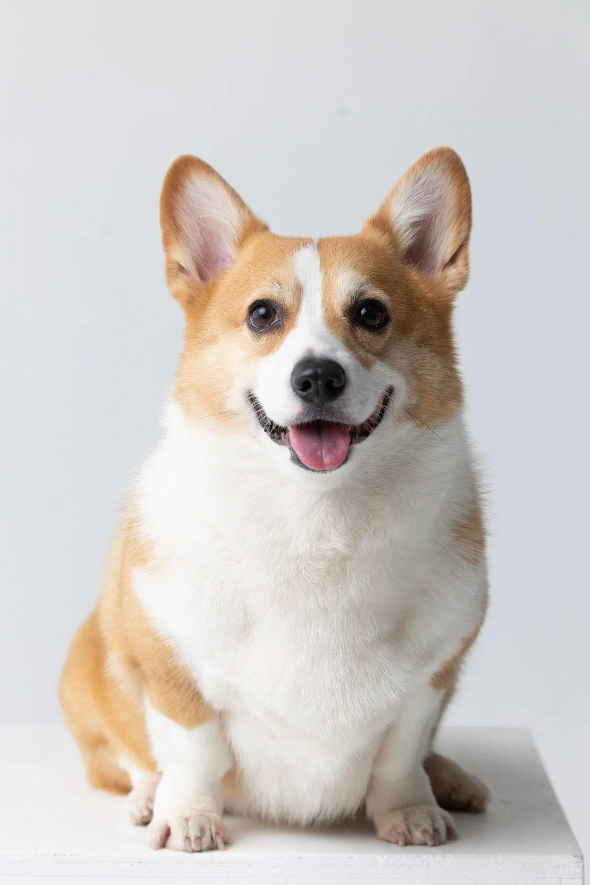 Marlboro（受访者提供）