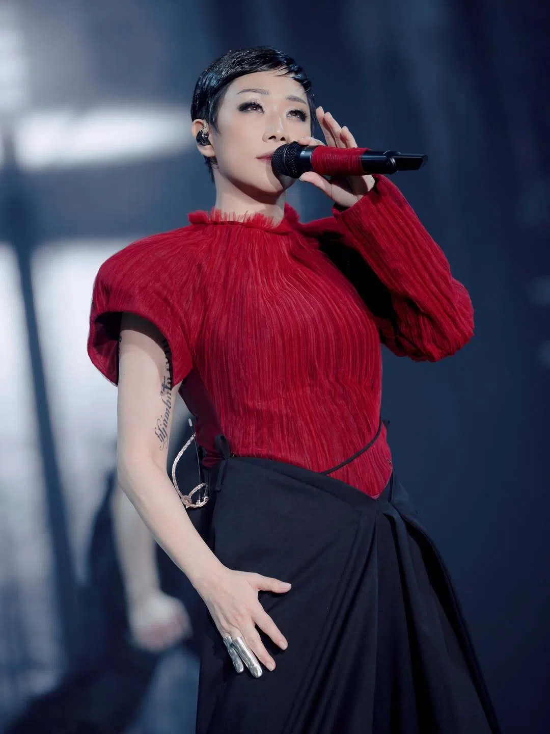 林忆莲日前在香港启德主场馆开唱。（取自林忆莲IG）