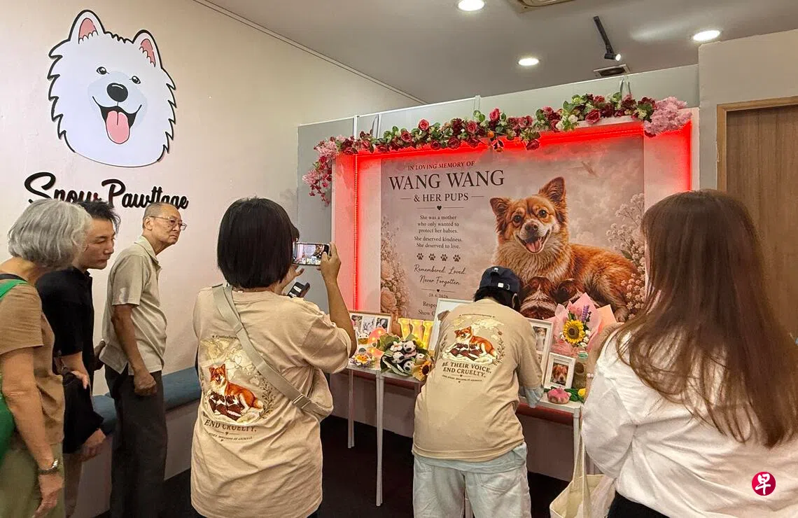 约80人参与流浪狗“旺旺”的追思会。 （张凯倩摄）