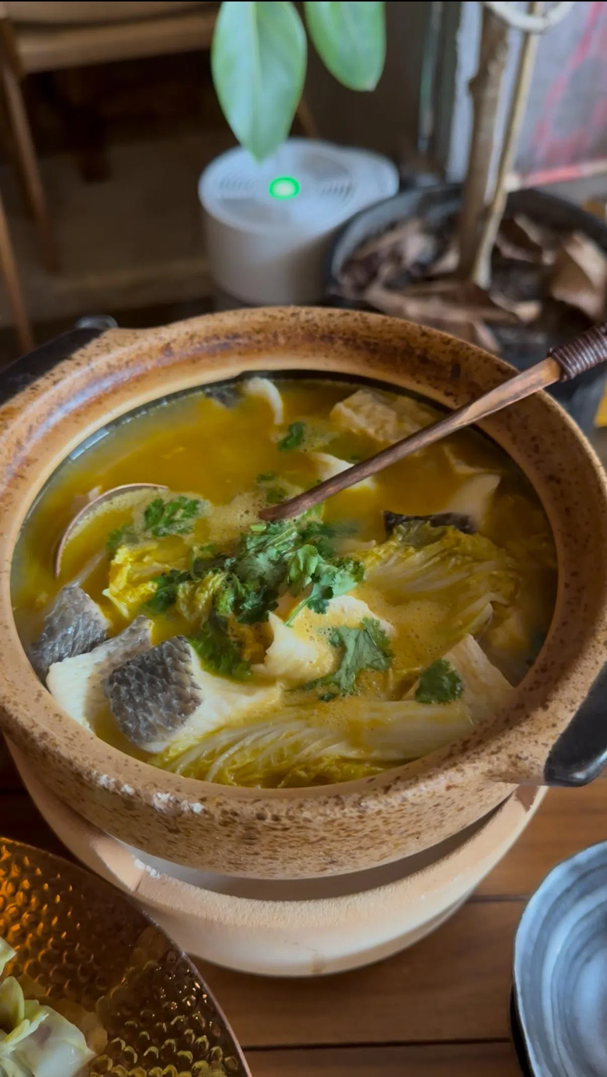 家烧石斑鱼煲受酸菜鱼启发，用麻辣味浓的胡椒高汤代替传统酸味。（叶晓虹摄）