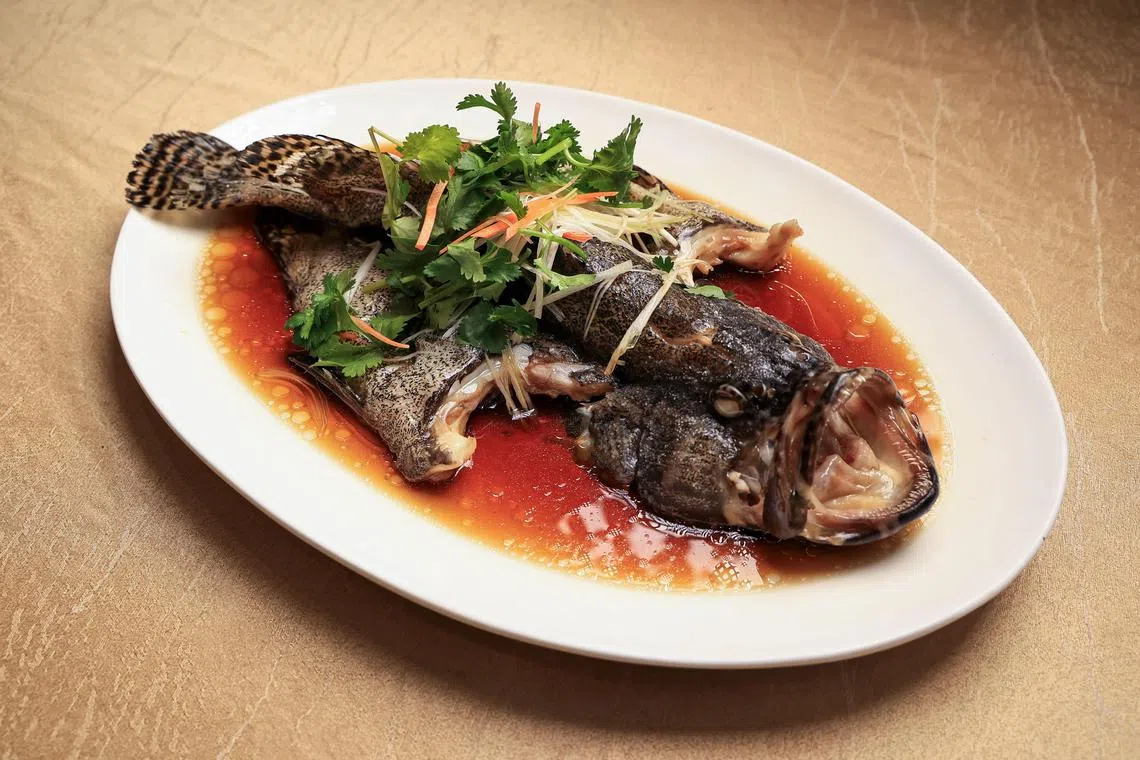 鲜嫩的港蒸活龙虎班。（吴先邦摄）