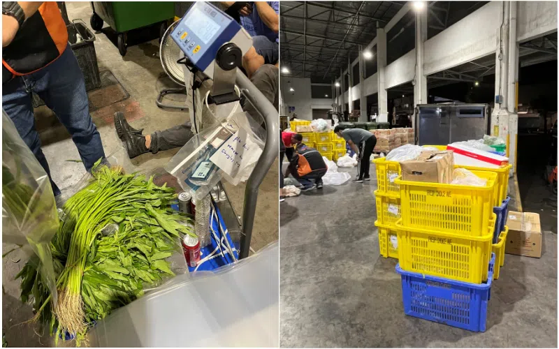 在兀兰关卡查获的1.5公吨未申报或少申报的农产品来自三个不同的进口商，并都已被扣押。（新加坡食品局提供）