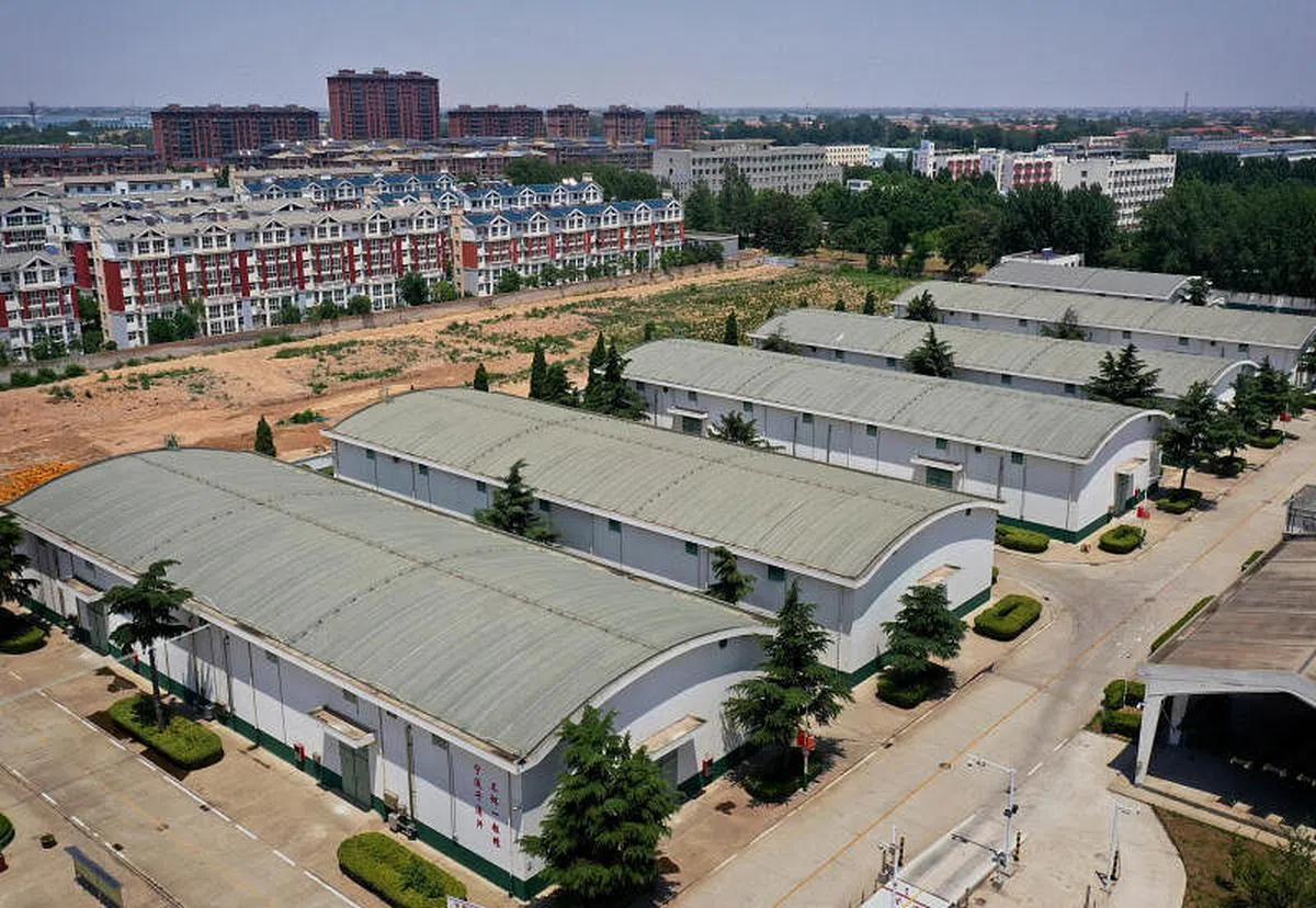 中央储备粮鹤壁直属库有限公司浚县分公司内的粮仓，图片摄于6月10日。（新华社）