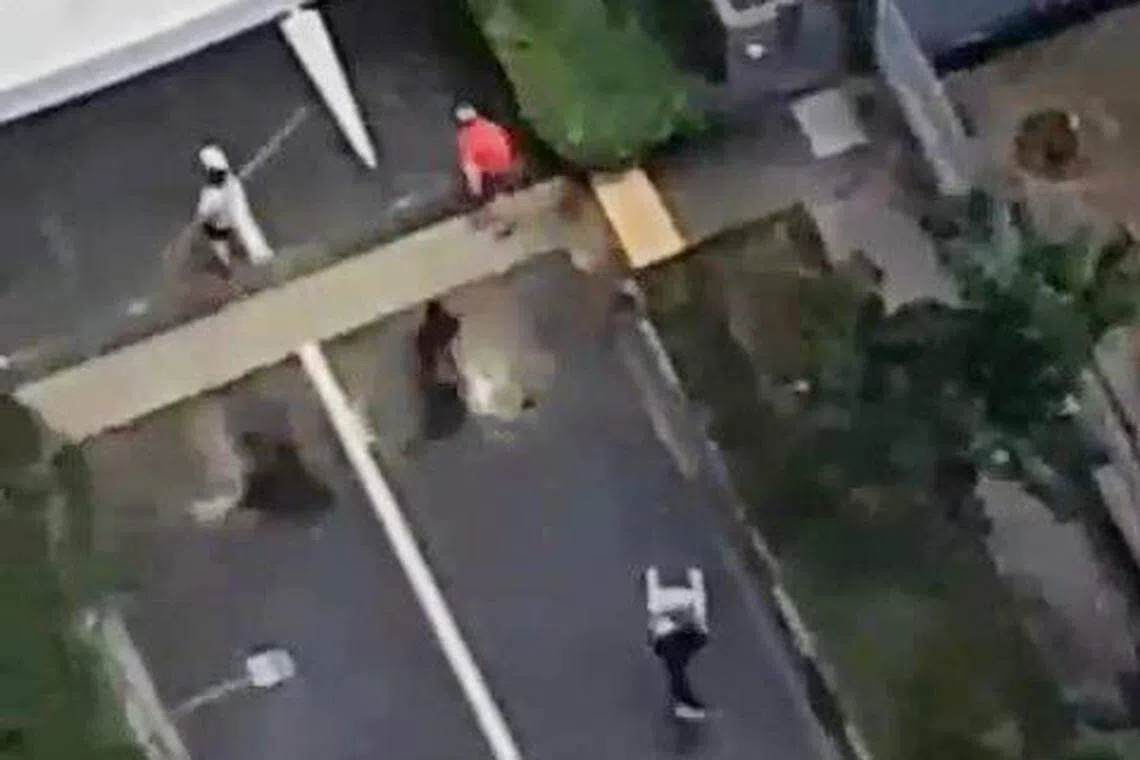 视频画面显示，在女皇碧苑公寓外，多人手上举起椅子和其他物件朝一处丢去。（目击者提供）