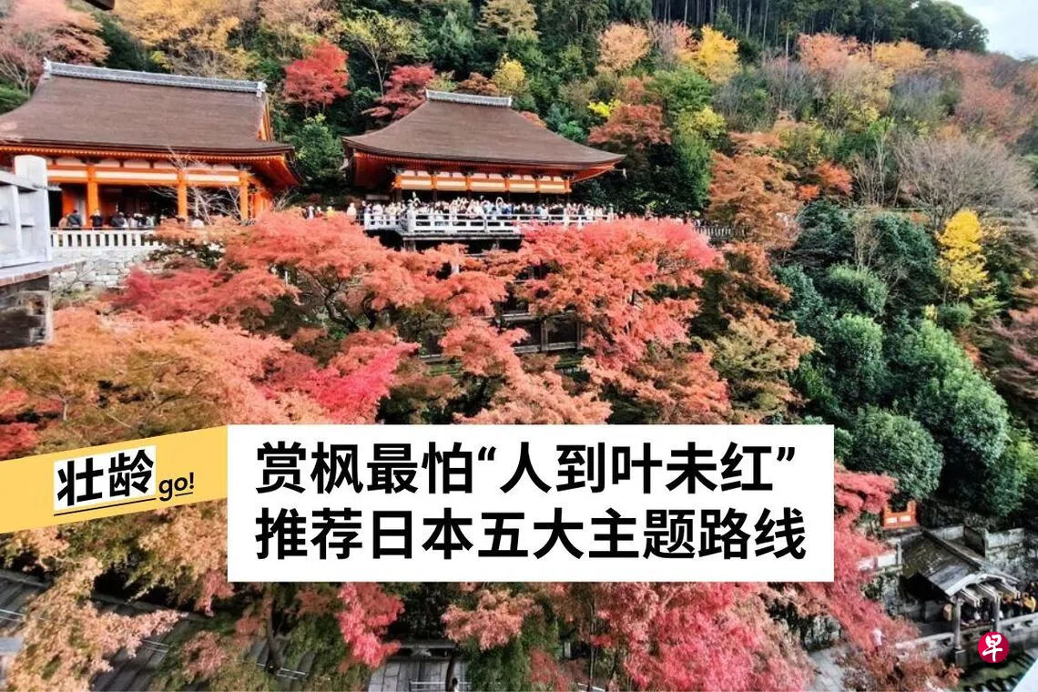 看红叶预测精明追枫 对照时间表与主题景点安排行程