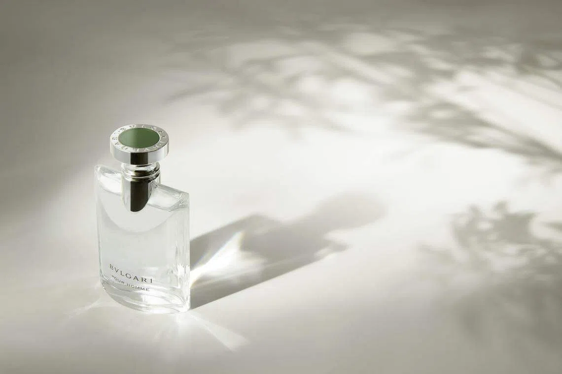 宝格丽Pour Homme男士淡香水有清新书卷男子气质。（品牌提供）