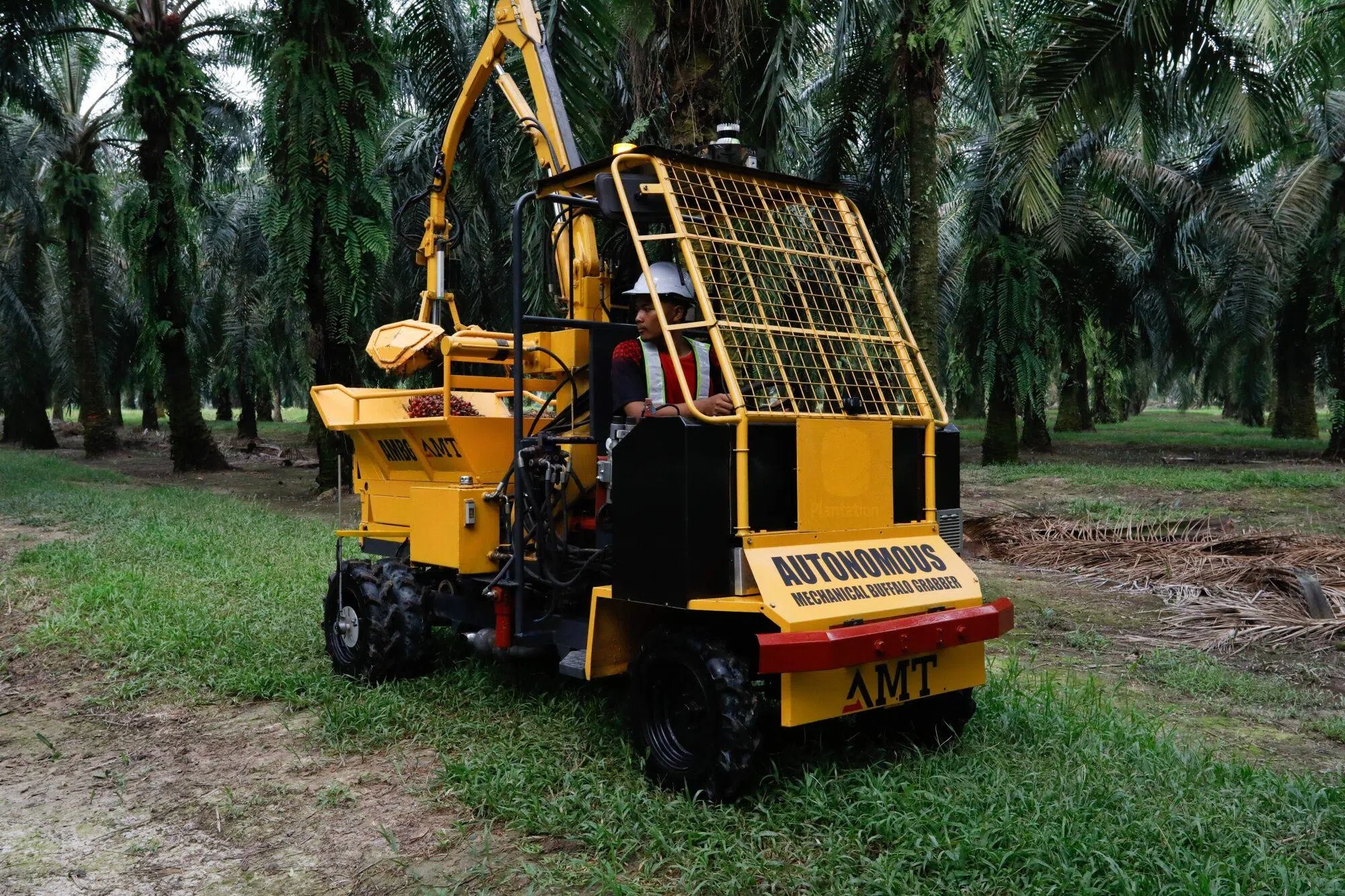 马国油棕园的地形起伏多变，牙直利因此研发不同类型的采收机，并透过实际操作不断改善设计。（彭博社）