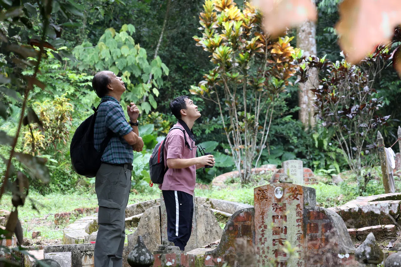 武吉布朗坟场为新加坡保留了绿地，成为许多鸟兽昆虫的庇护所，也因为走道的存在，方便人们寻幽探秘。（邝启聪摄）