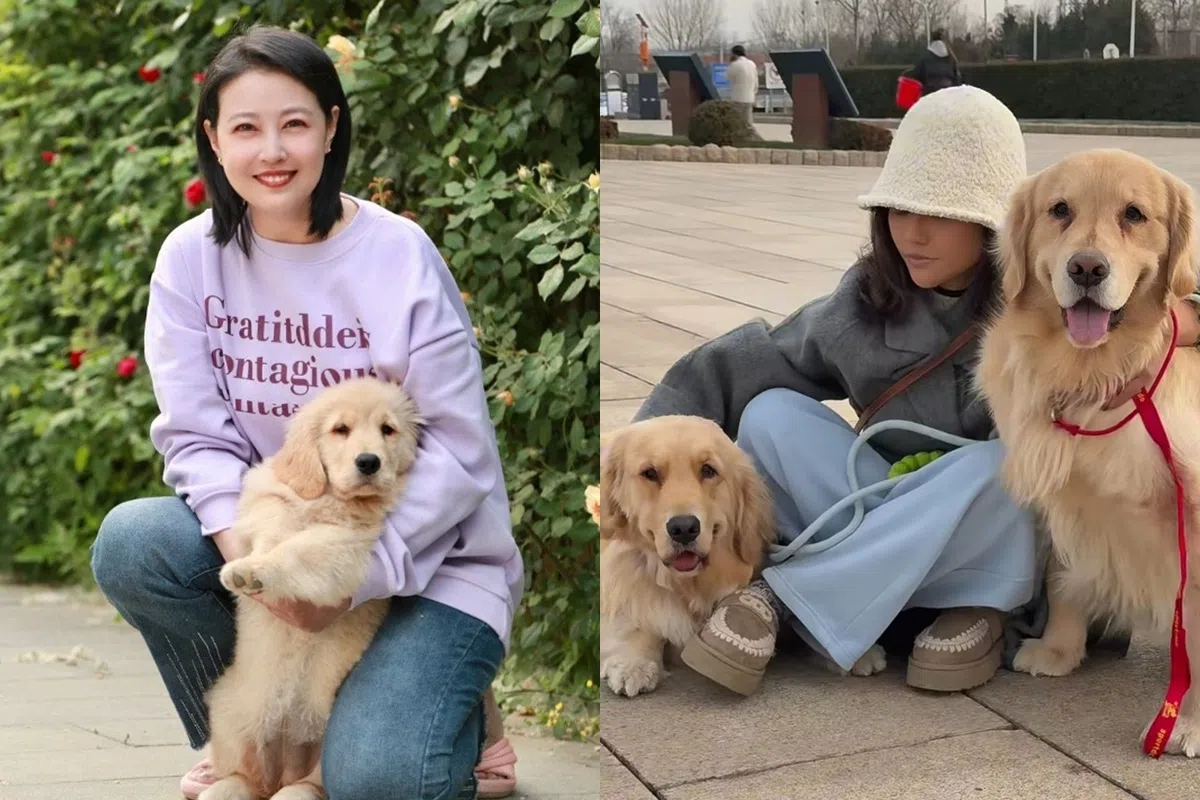 新主人带着周海媚生前的两只爱犬（右图）前去拜祭周海媚。（互联网）