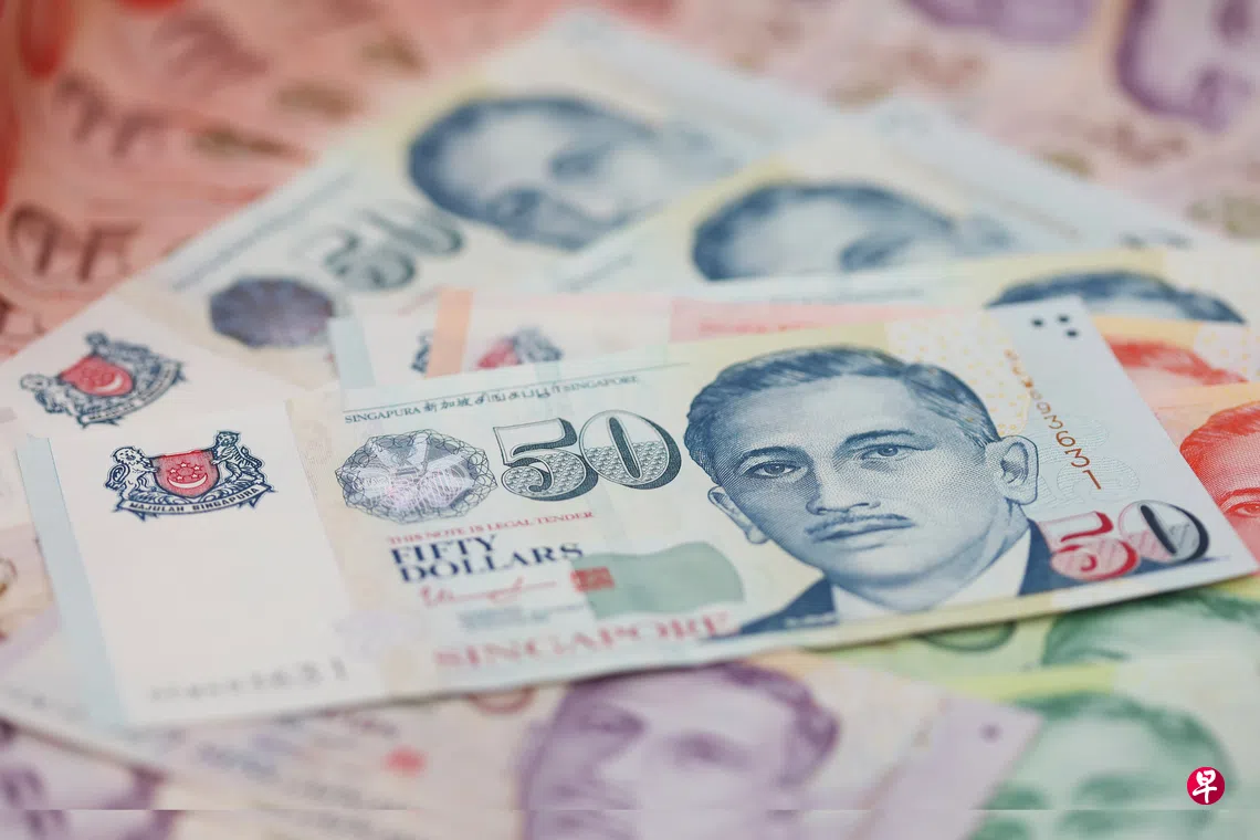 新元受益于避险资金流入分析师：不会成为储备货币| 联合早报