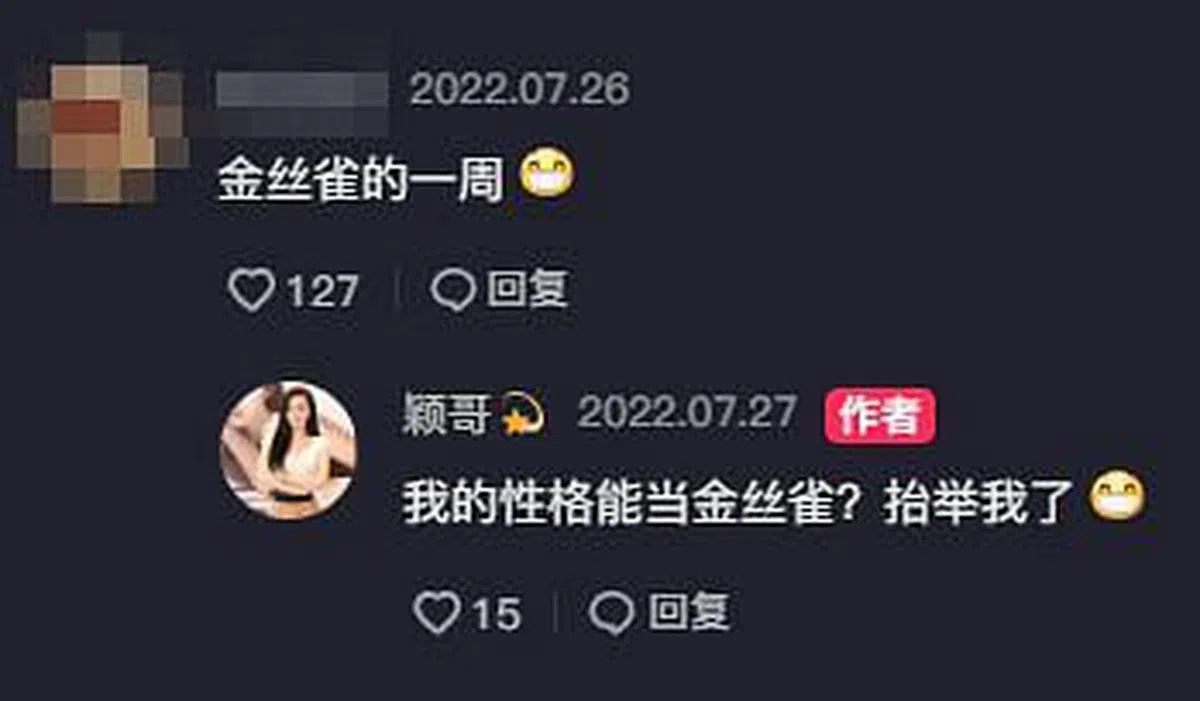 张颖颖回怼网民。（图/互联网）