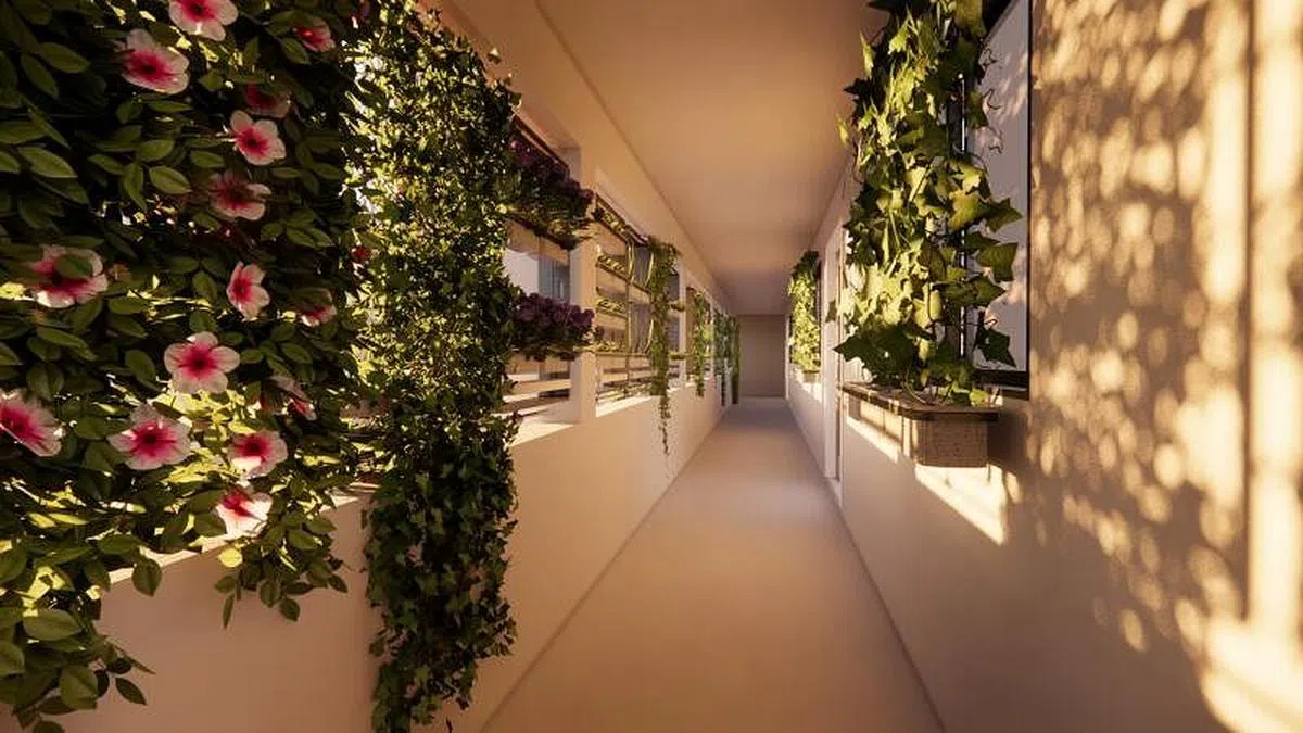 Verdure种植窗框除了能美化组屋走廊，还可遮阳降温。（受访者提供图片）