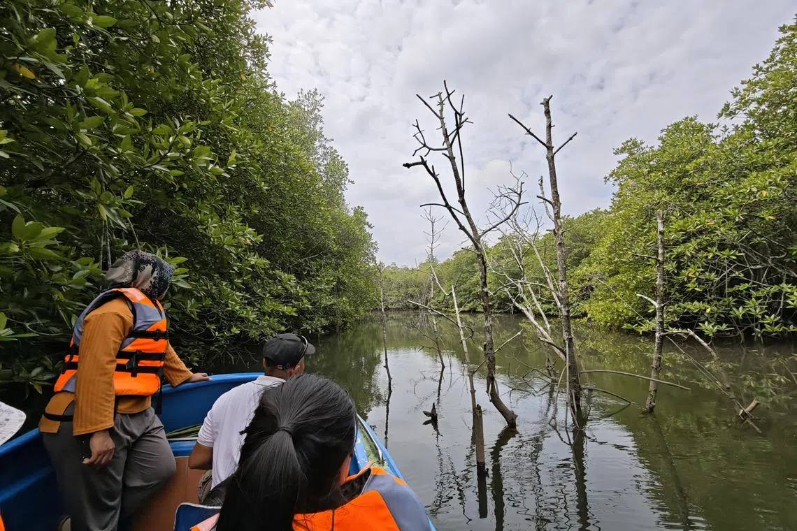 新加坡自然协会9月将首次组团，带教师到印尼民丹岛参加三天两夜的“生态之旅”，这个配套价值约900元，涵盖住宿、交通和伙食费。协会预计明年开放给公众参与，估计配套价格会更便宜。（受访者提供）