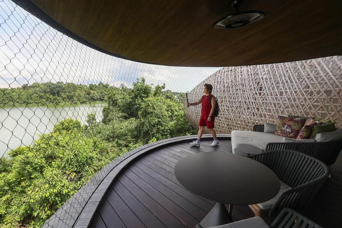 悦榕集团将举办“雨林节”活动，向访客介绍度假村如何通过高架结构、保留树木等设计，与周围自然环境和谐共存。（吴先邦摄）