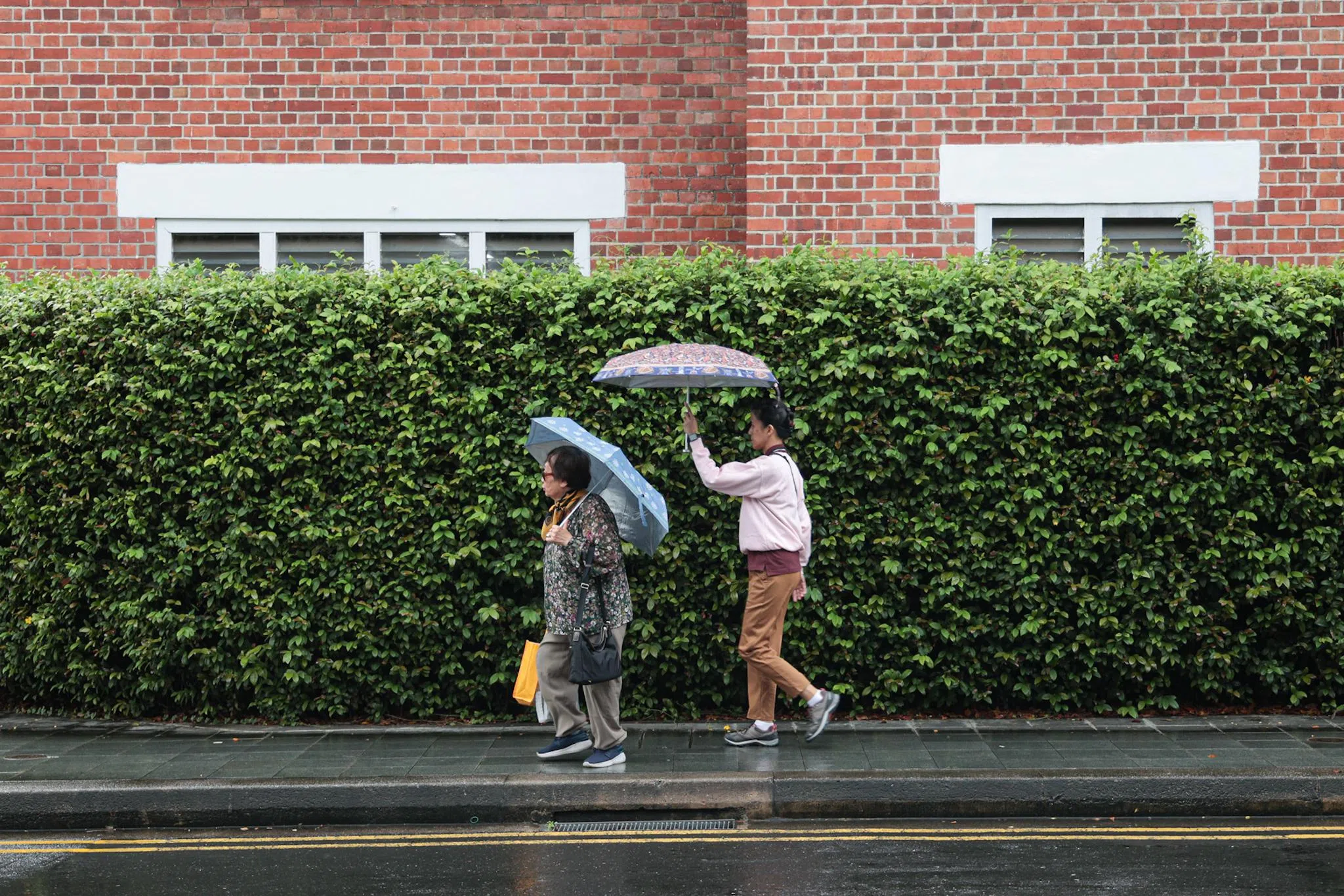 除了雨水多，来临周末，一些地区最低气温可能降至约22摄氏度；1月下旬多数日子的气温料介于24至34摄氏度。（李冠卫摄）