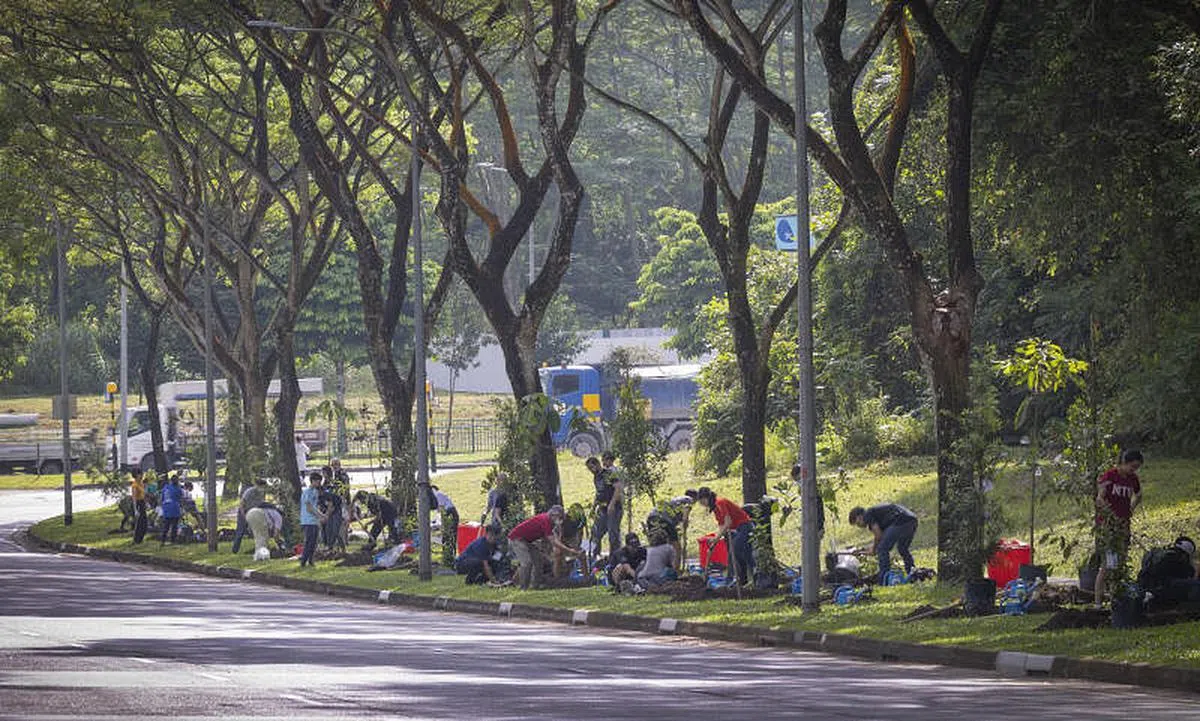 南大学生在南洋道沿路种植100棵树。（陈来福摄）