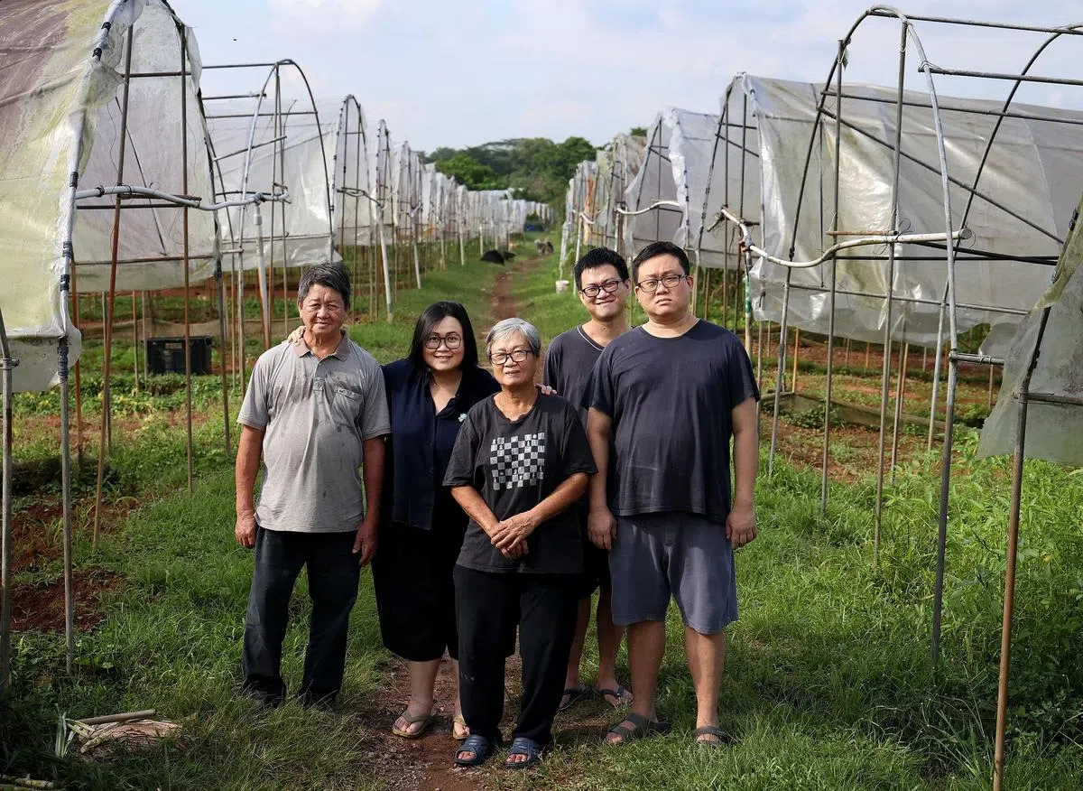 萤火虫健康蔬菜农场是蔡建静（左一）的梦想，也凝聚了一家人的爱。左二起为女儿蔡晓熹、太太蔡来玉、幼子蔡佑钊和长子蔡念昆。（龙国雄摄）