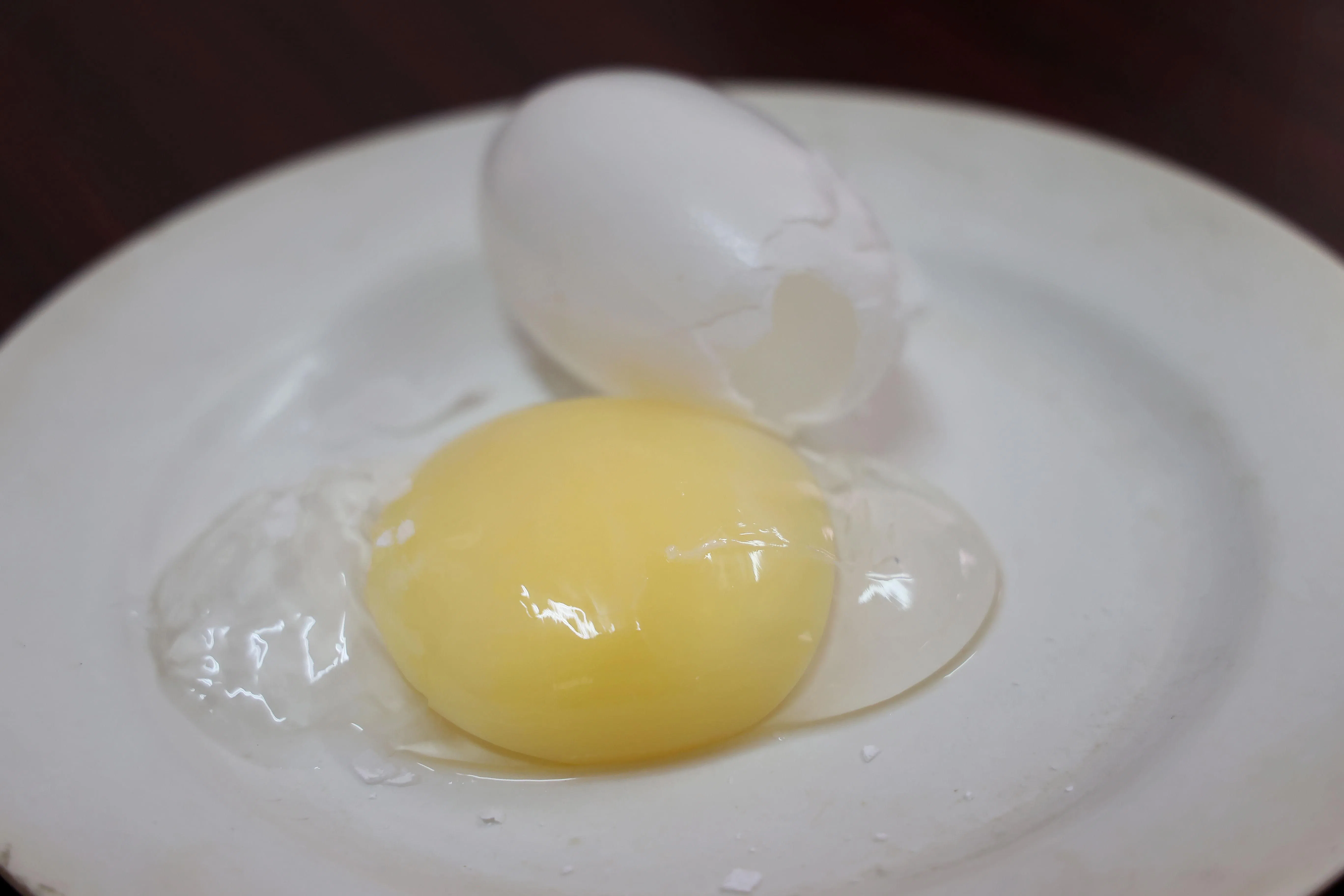 鳄鱼蛋的蛋黄多、蛋白小，而且非常粘稠。（龙国雄摄）