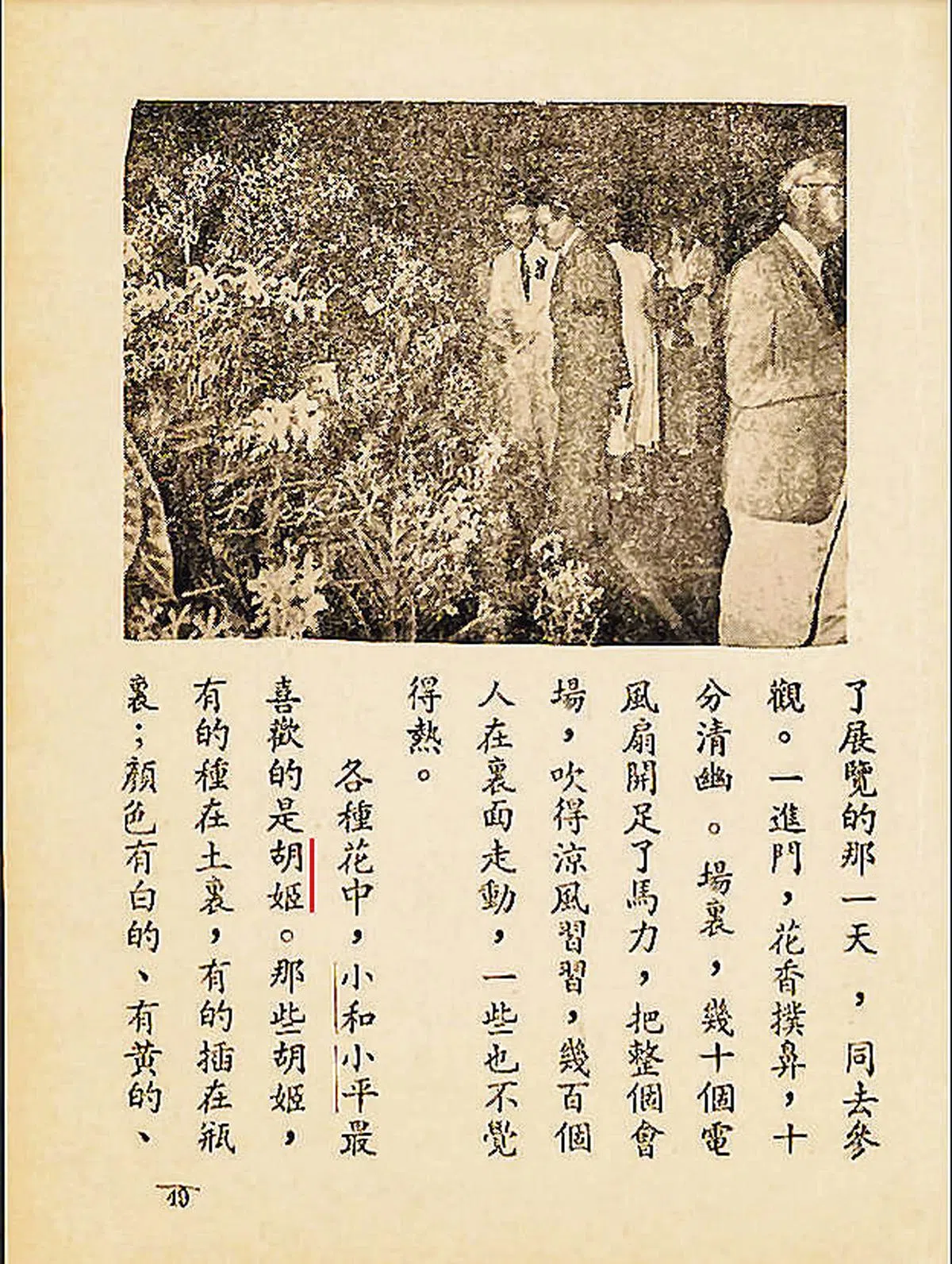 1953年新加坡联营出版的《国语》（四上）课本，其中一篇课文《名花展览》采『胡姬』（左图画红线）指称本地的兰花。