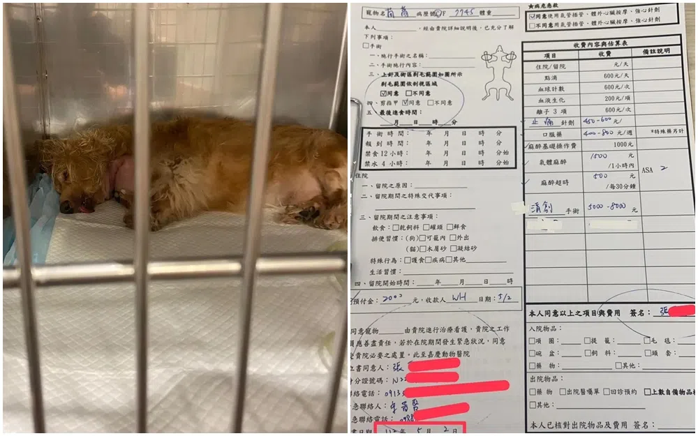 宋晋贤公开小狗送医和动手术的单据。（取自脸书）