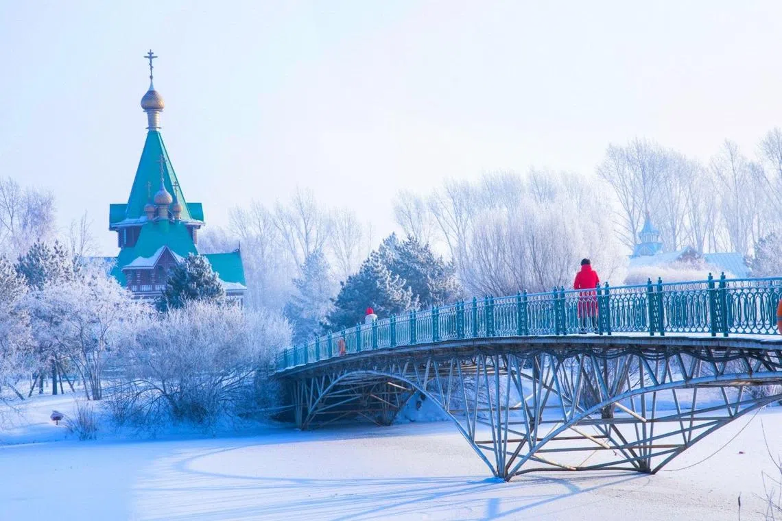 哈尔滨的美，令人魂牵梦绕。（受访者提供）