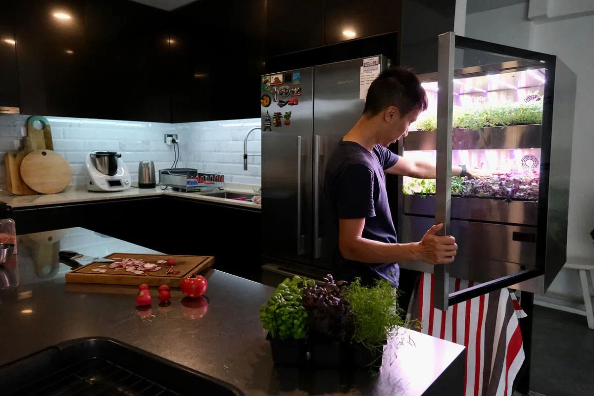 Aejou像一台高级葡萄酒冷藏柜，放在厨房没违和感。（受访者提供）