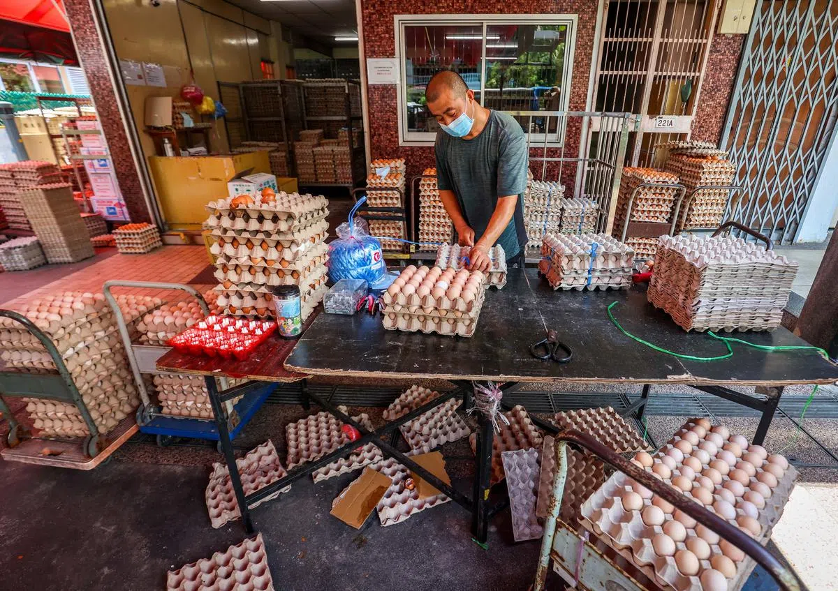 走过路过不要错过！这里的甘榜鸡蛋价格比一般市场价便宜，可谓“鸡”不可失哦！（摄影 / 叶振忠）