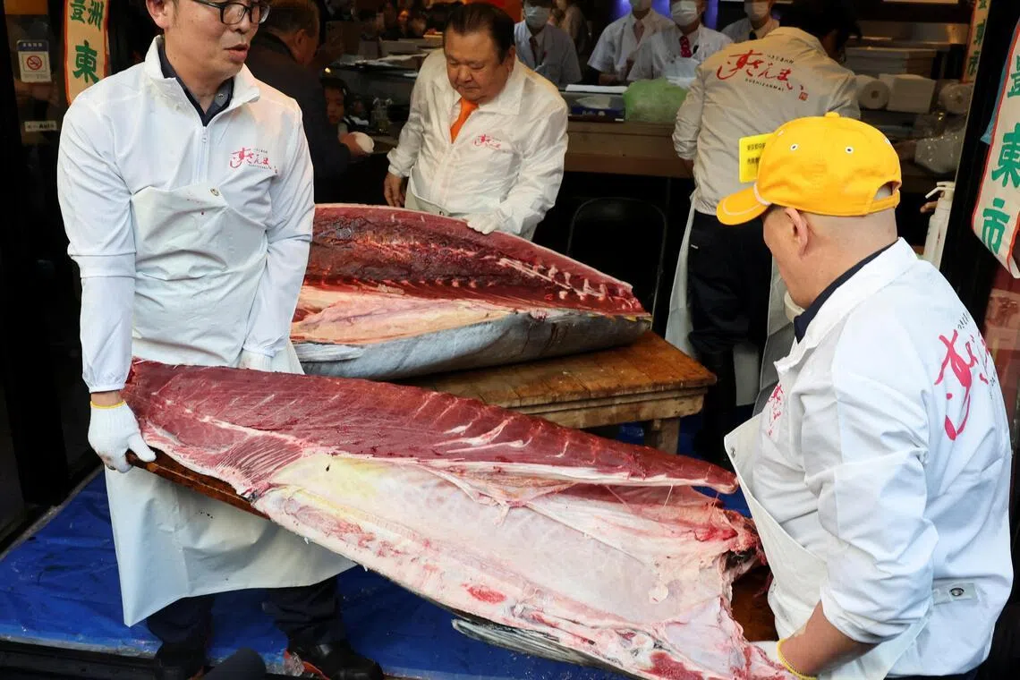 东京寿司连锁店寿司三味的员工准备将切好的金枪鱼分发到各地分店。（路透社）