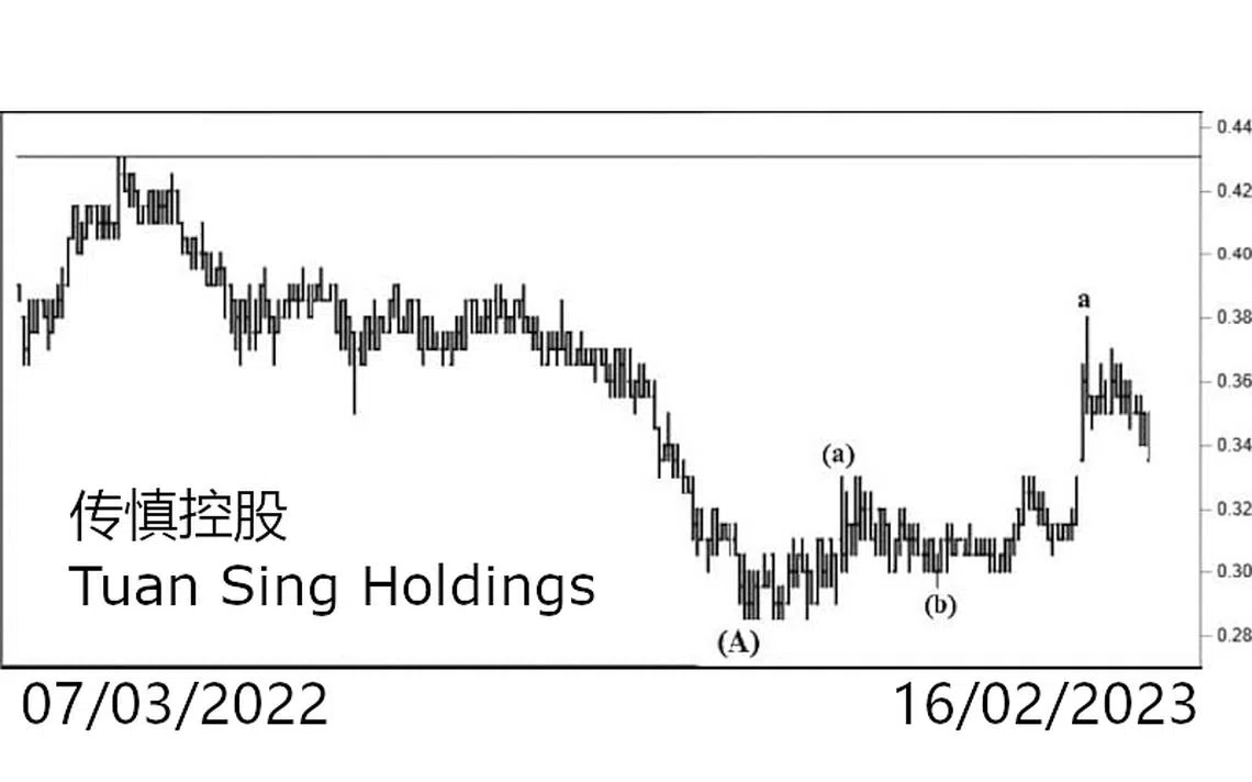 传慎控股Tuan Sing Holdings | 联合早报