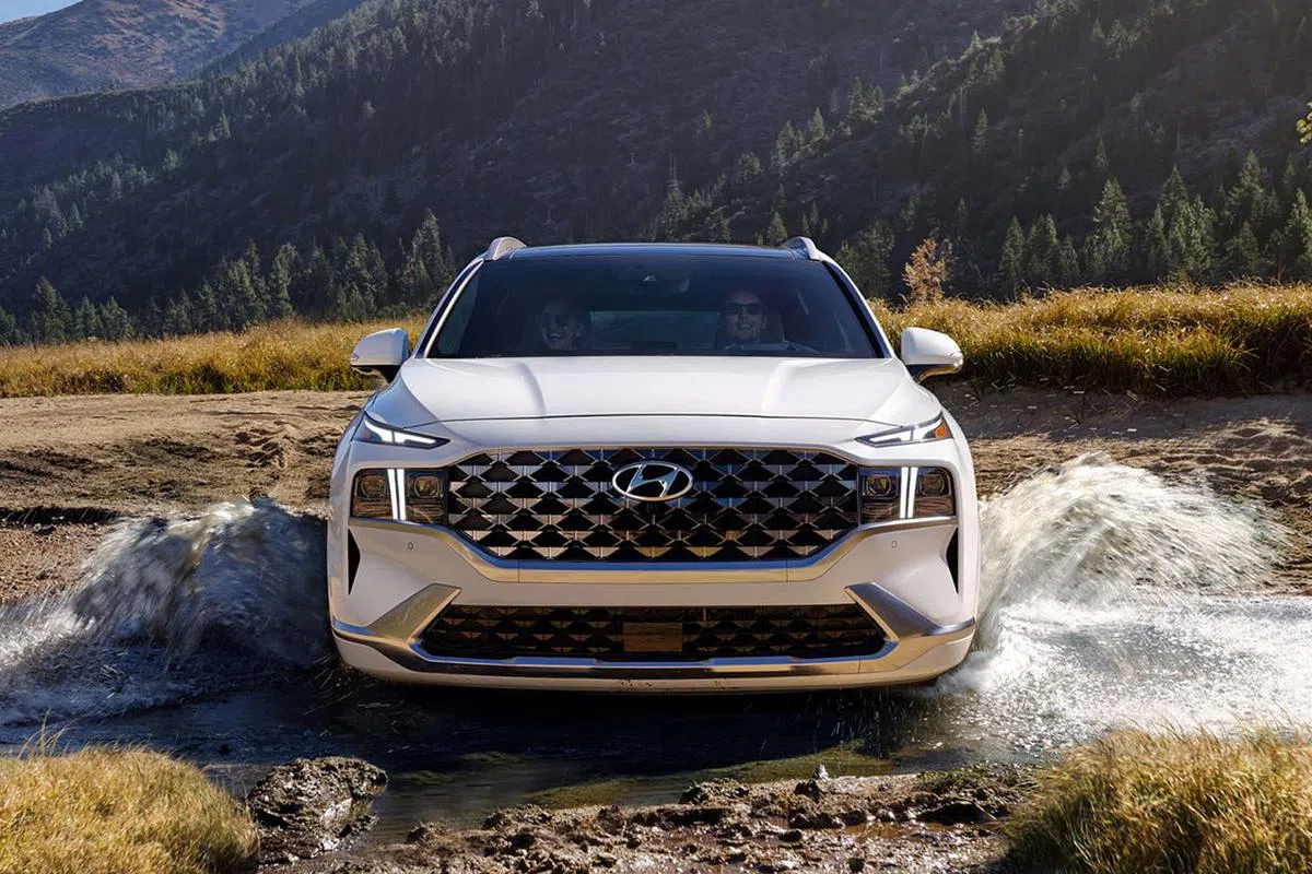 （图/商家提供）