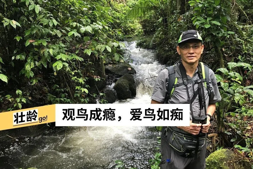 拍鸟不为惊艳瞬间 他与鸟的60年情缘