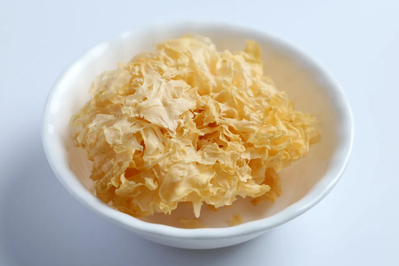 白木耳保健功效丰富，美称“蕈中之冠”，功效包括益气、滋阴、润肺，还可养胃之阴、润胃之燥。（龙国雄摄）