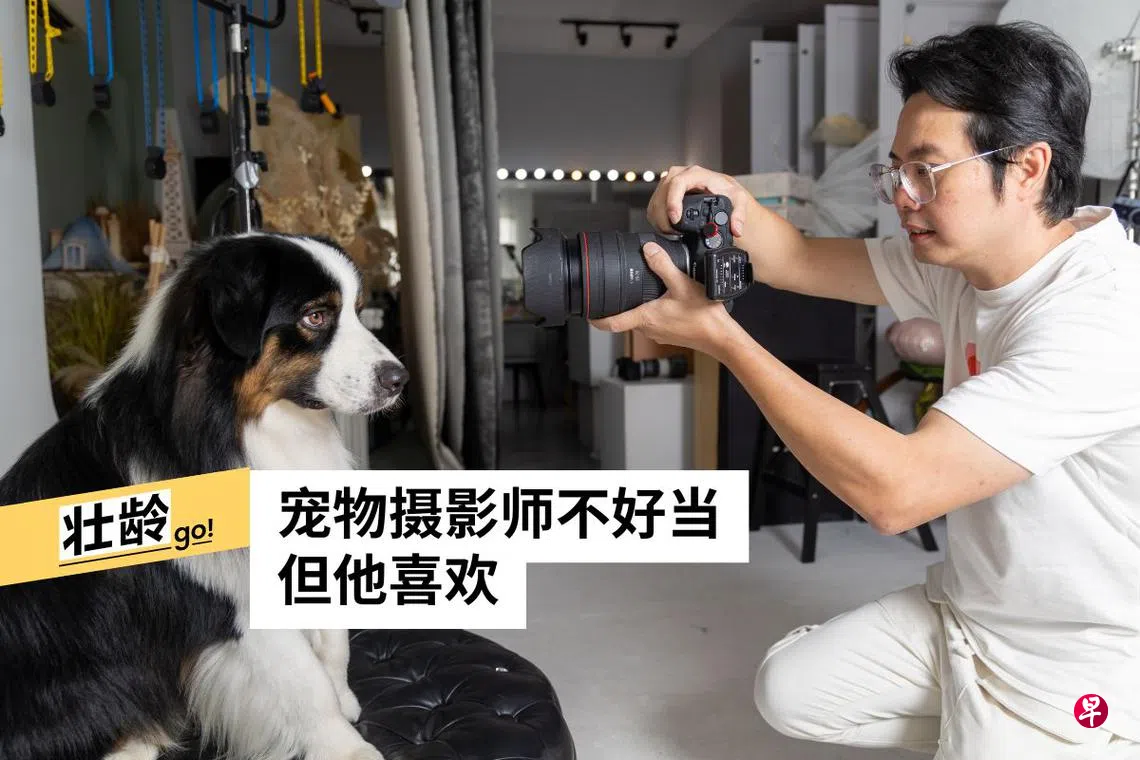 从拍摄新郎新娘到拍摄猫猫狗狗摄影师陈伟民是宠物生命的见证| 联合早报