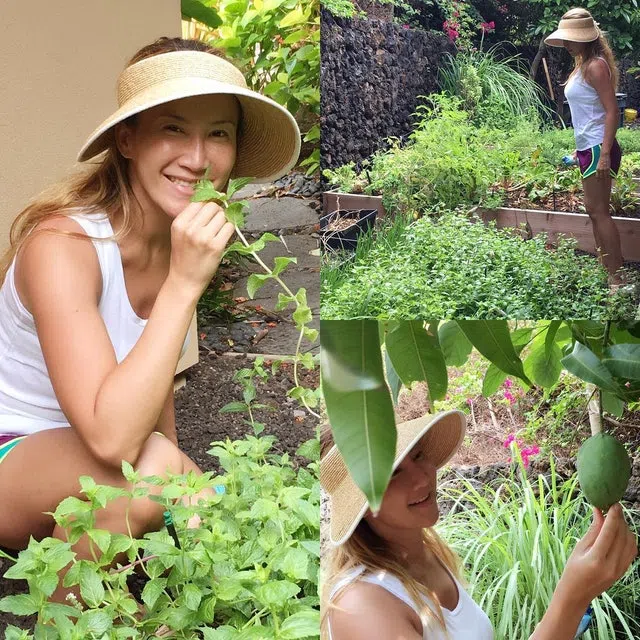 李玟在花园种植各种蔬果。（取自艺人instagram）