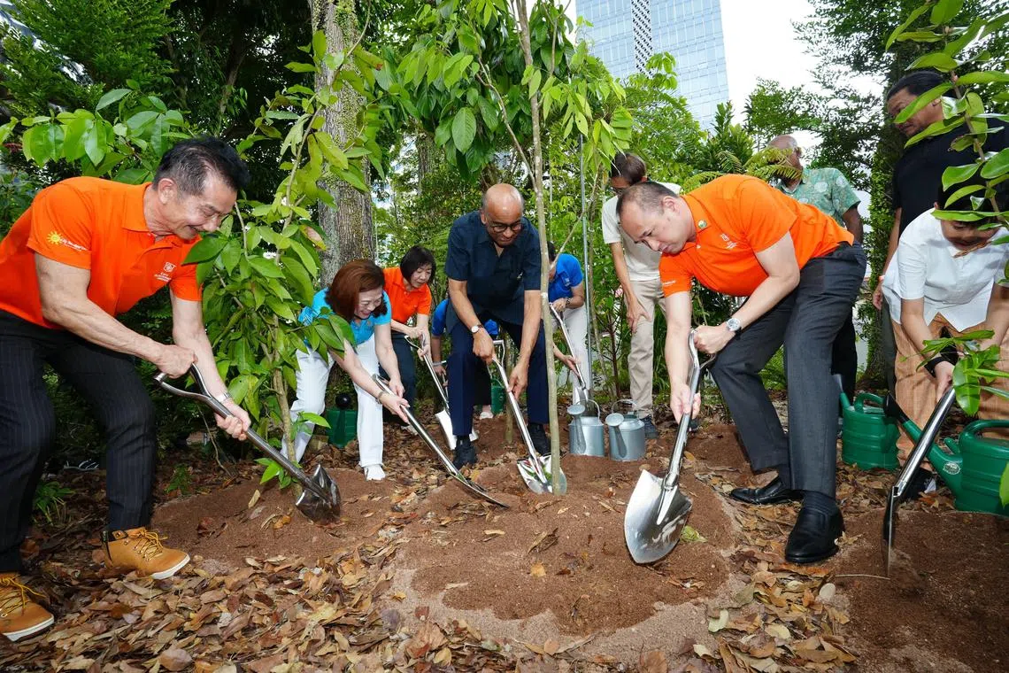 总统尚达曼（左四）同城市发展集团总裁郭益智（右二）及其他人员一同在微型热带森林里植树。（城市发展提供）
