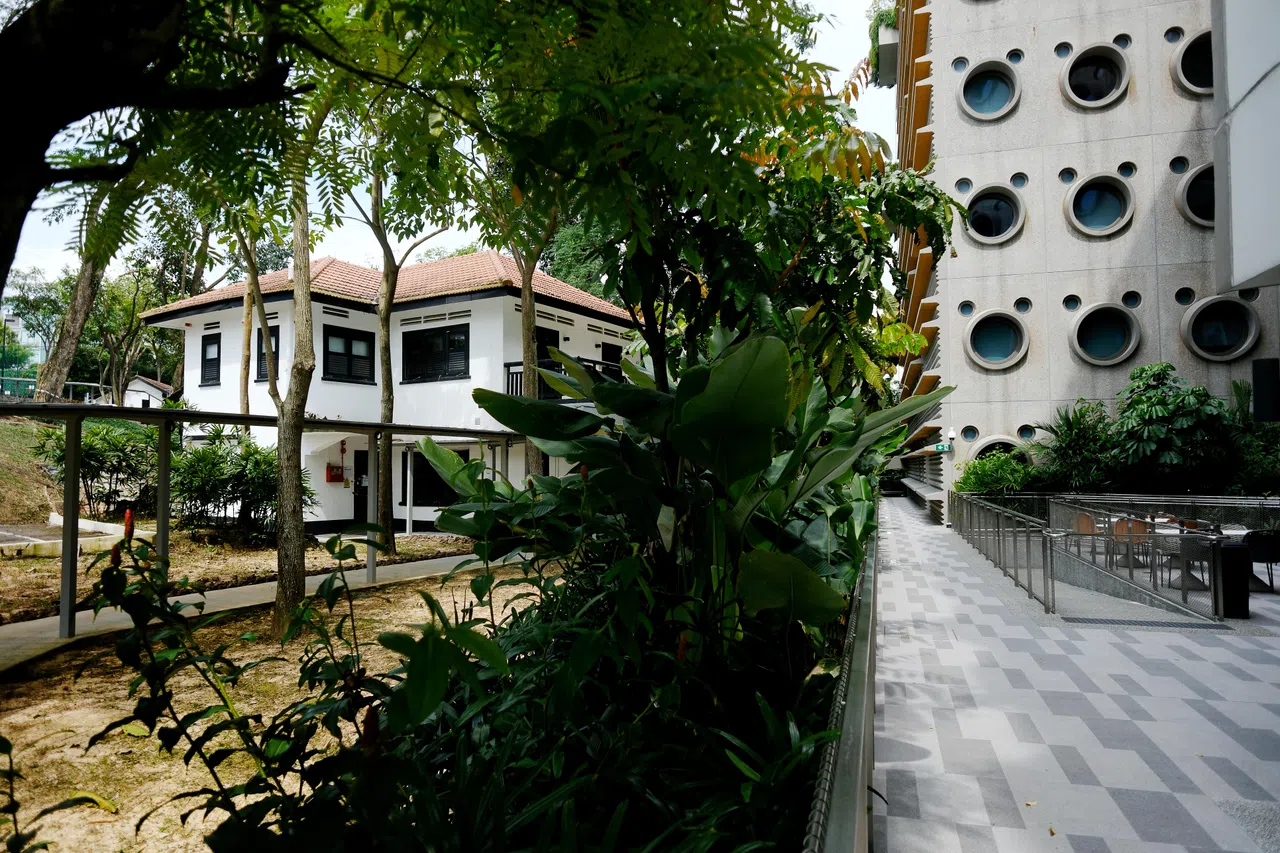 施工期间，张荣新须确保邻近黑白洋房稳固。（曾坤顺摄）