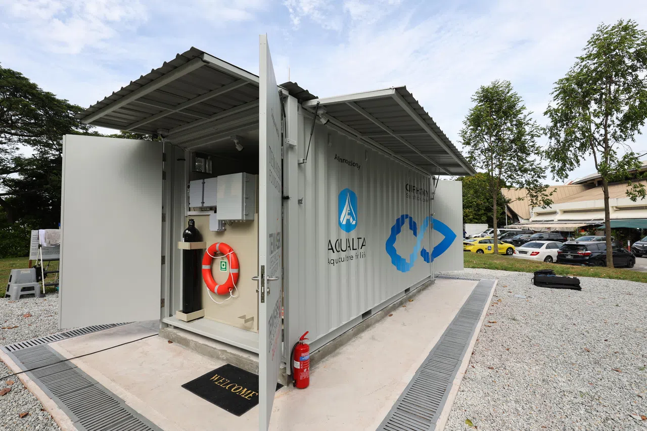 社区养鱼集装箱位于淡滨尼11街圆巴刹与小贩中心旁的空地，占地面积仅为15平方米，每年可以生产多达1200公斤的鲈鱼，养殖的鱼将供应给邻近的巴刹摊贩售卖。（何家俊摄）